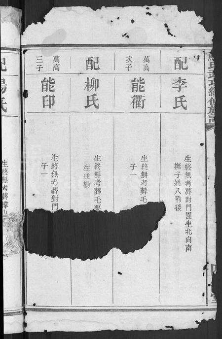 湖南苏氏族谱-苏氏武功续修族谱 [残卷].pdf电子版预览图4