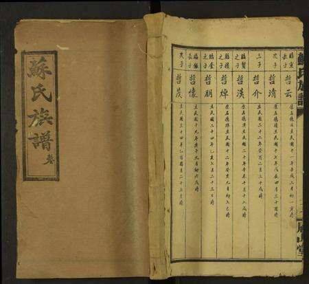 湖南苏氏族谱-苏氏族谱 [总卷数不详].pdf电子版缩略图