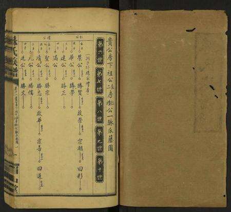 湖南苏氏族谱-苏氏族谱 [总卷数不详].pdf电子版预览图1