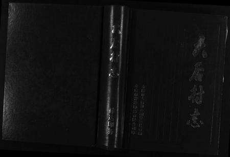 浙江多姓氏族谱-[胡氏]大后村志 [2篇].pdf电子版预览图1