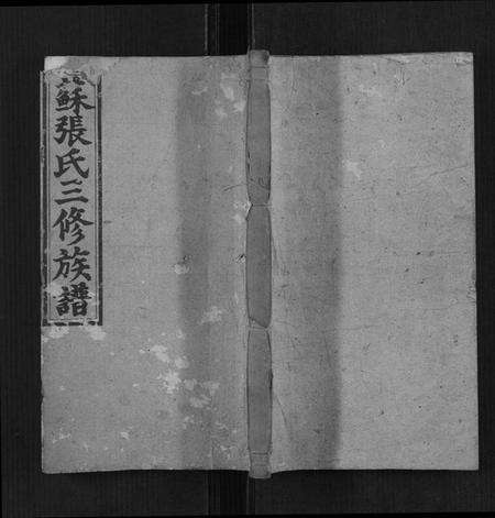 湖南苏张氏族谱-苏张氏三修族谱[4卷,首3卷].pdf电子版缩略图