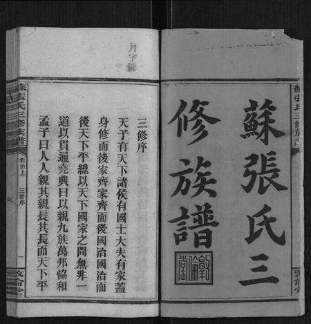 湖南苏张氏族谱-苏张氏三修族谱[4卷,首3卷].pdf电子版预览图2