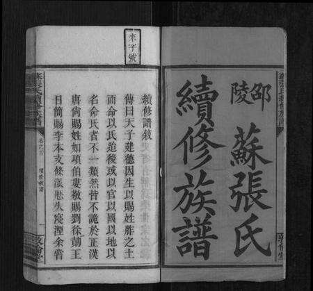 湖南苏张氏族谱-苏张氏续修族谱[3卷,首2卷,末1卷].pdf电子版预览图2