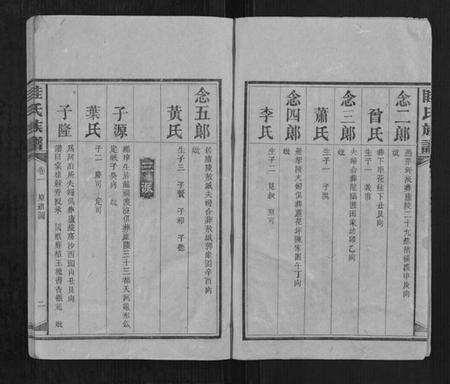 湖南眭氏族谱-眭氏四修族谱[5卷].pdf电子版预览图2