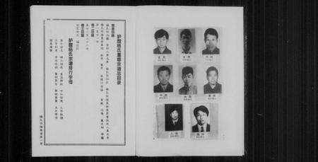 浙江杨氏族谱-胪膛杨氏宗谱 [3卷].pdf电子版预览图5