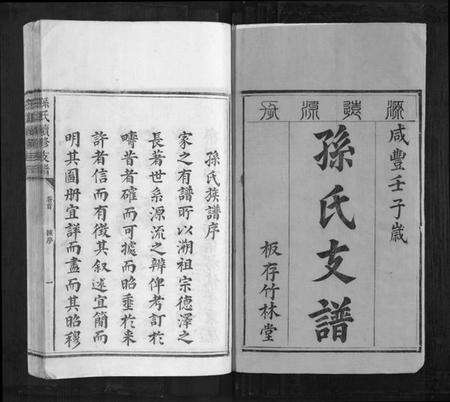 湖南孙氏族谱-孙氏续修支谱[5卷首1卷].pdf电子版预览图1