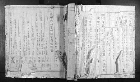 江西蓝氏族谱-信丰蓝氏七修族谱.pdf电子版缩略图