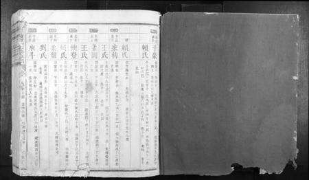 江西蓝氏族谱-信丰蓝氏七修族谱.pdf电子版预览图1