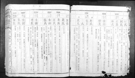 江西蓝氏族谱-信丰蓝氏七修族谱.pdf电子版预览图2