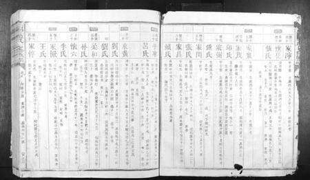 江西蓝氏族谱-信丰蓝氏七修族谱.pdf电子版预览图3