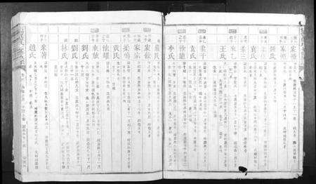 江西蓝氏族谱-信丰蓝氏七修族谱.pdf电子版预览图4