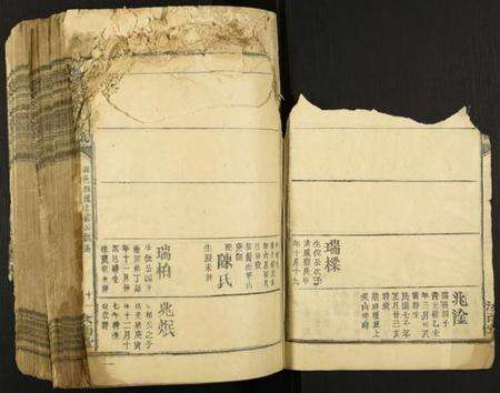 江西蓝氏族谱-蓝氏五届联修族谱.pdf电子版预览图2