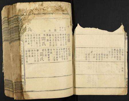 江西蓝氏族谱-蓝氏五届联修族谱.pdf电子版预览图5