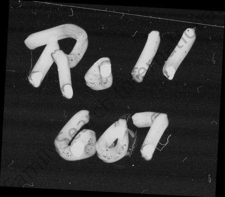 湖南谭氏族谱-衡山烧田谭氏九修族谱 [上中下三卷].pdf电子版预览图4