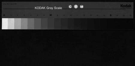 浙江周氏族谱-英山周氏宗谱 [10卷].pdf电子版缩略图