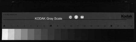 浙江周氏族谱-英山周氏宗谱 [6卷,首末各1卷].pdf电子版缩略图