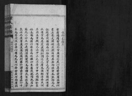 湖南谭氏族谱-谭氏族谱.pdf电子版预览图1