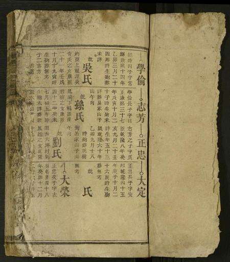 湖南谭氏族谱-龙源谭氏家乘 [不分卷].pdf电子版预览图1