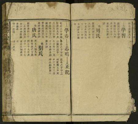 湖南谭氏族谱-龙源谭氏家乘 [不分卷].pdf电子版预览图3