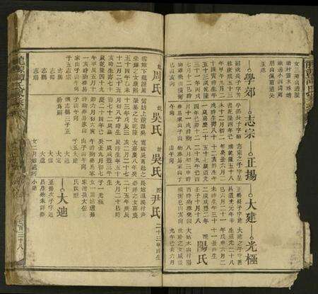 湖南谭氏族谱-龙源谭氏家乘 [不分卷].pdf电子版预览图4