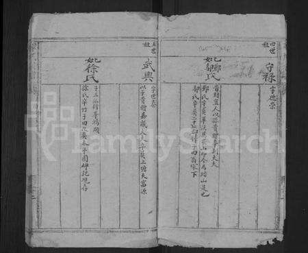 湖南谭氏族谱-谭氏宗谱 [残卷].pdf电子版预览图3