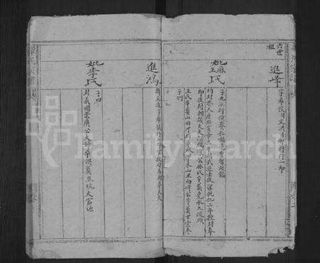 湖南谭氏族谱-谭氏宗谱 [残卷].pdf电子版预览图4