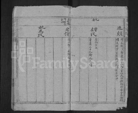 湖南谭氏族谱-谭氏宗谱 [残卷].pdf电子版预览图5