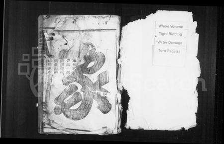 浙江施氏族谱-华峯施氏宗谱 [5卷].pdf电子版预览图2