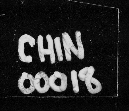 湖南汤氏族谱-益阳汤氏五修族谱 [12卷,首末各2卷].pdf电子版预览图4