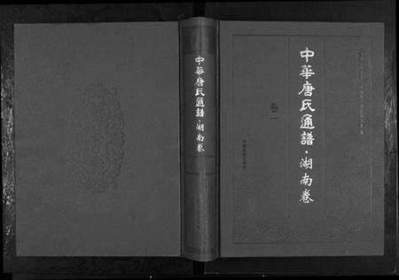 湖南唐氏族谱-中华唐氏通谱.pdf电子版缩略图