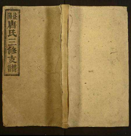 湖南唐氏族谱-唐氏三修支谱.pdf电子版缩略图