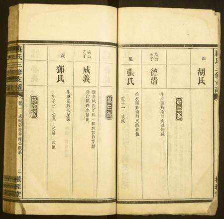 湖南唐氏族谱-唐氏三修支谱.pdf电子版预览图2