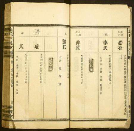 湖南唐氏族谱-唐氏三修支谱.pdf电子版预览图3