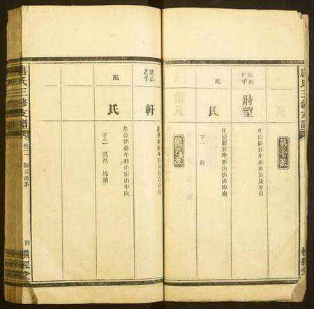 湖南唐氏族谱-唐氏三修支谱.pdf电子版预览图4