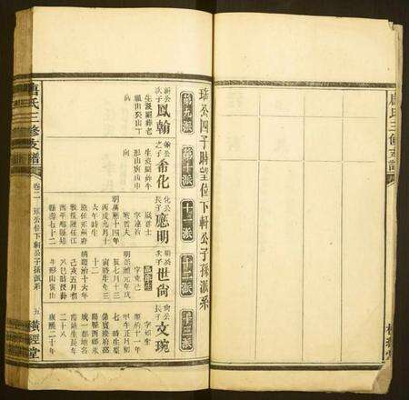 湖南唐氏族谱-唐氏三修支谱.pdf电子版预览图5