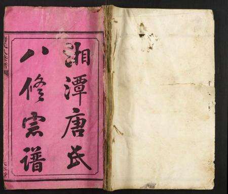 湖南唐氏族谱-唐氏八修谱.pdf电子版缩略图