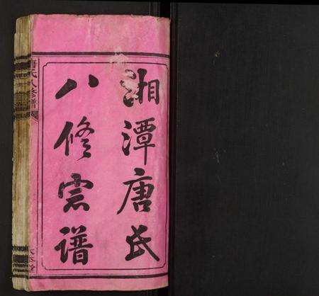 湖南唐氏族谱-唐氏八修谱.pdf电子版预览图1