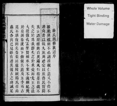 湖南唐氏族谱-唐氏四修族谱.pdf电子版预览图3