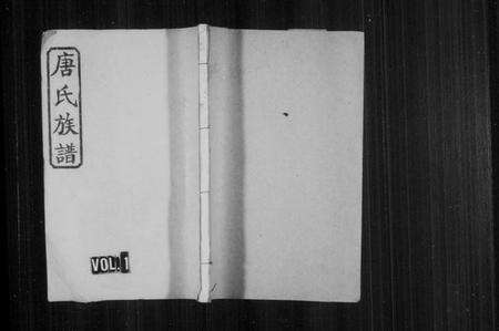 湖南唐氏族谱-唐氏族谱 [12卷,首末各1卷].pdf电子版预览图1