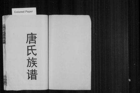 湖南唐氏族谱-唐氏族谱 [12卷,首末各1卷].pdf电子版预览图2