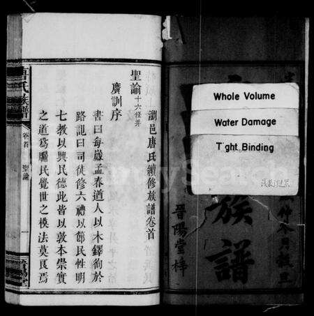 湖南唐氏族谱-唐氏族谱 [4卷,及卷首].pdf电子版预览图3