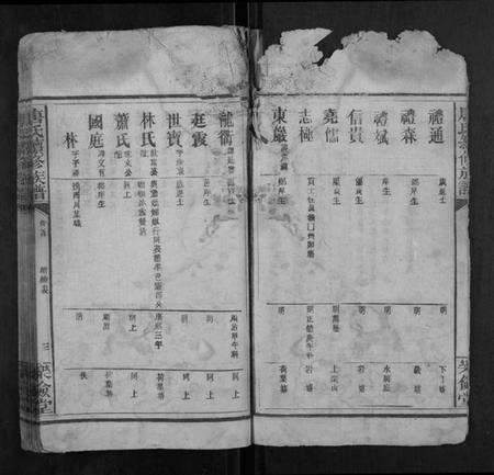 湖南唐氏族谱-唐氏续修族谱.pdf电子版预览图3