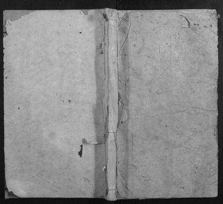 湖南唐氏族谱-新园唐氏八修族谱[26卷].pdf电子版缩略图