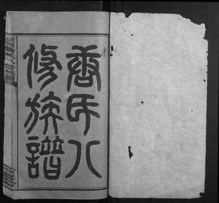 湖南唐氏族谱-新园唐氏八修族谱[26卷].pdf电子版预览图1