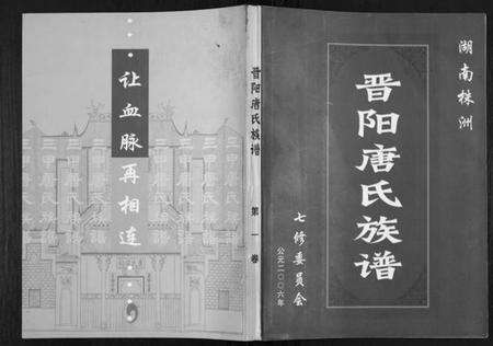 湖南唐氏族谱-晋阳唐氏族谱.pdf电子版缩略图