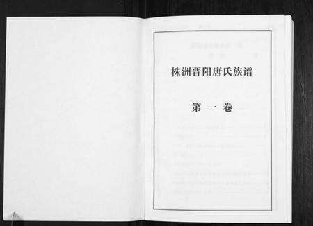 湖南唐氏族谱-晋阳唐氏族谱.pdf电子版预览图1