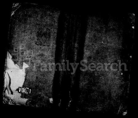 湖南唐氏族谱-晋阳唐氏重修族谱 [38卷].pdf电子版预览图1