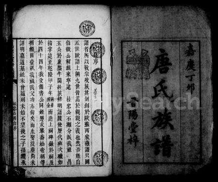 湖南唐氏族谱-晋阳唐氏重修族谱 [38卷].pdf电子版预览图2