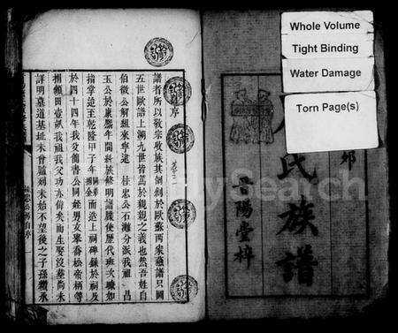 湖南唐氏族谱-晋阳唐氏重修族谱 [38卷].pdf电子版预览图3