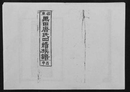 湖南唐氏族谱-邵东黑田唐氏四续族谱.pdf电子版缩略图